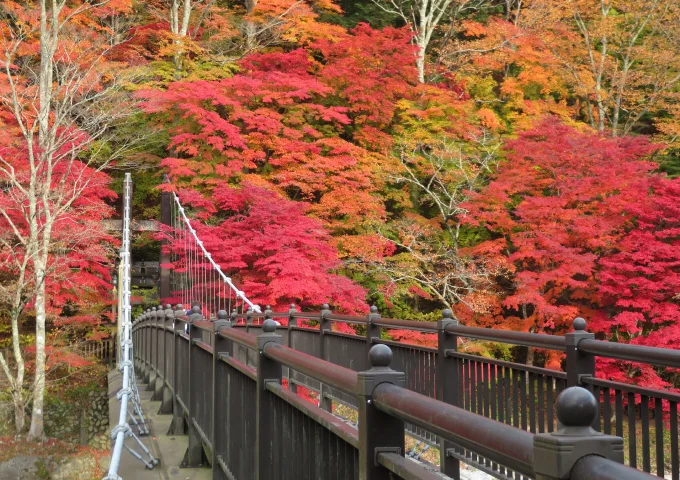 紅の吊橋