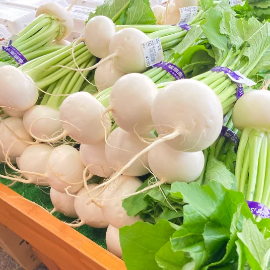 Shiobara Kogen Turnip Mid May to June