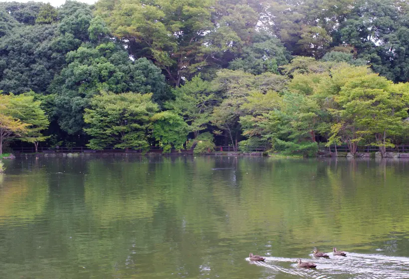 乃木神社と黒磯のカフェをめぐる 文化と自然の半日ドライブ