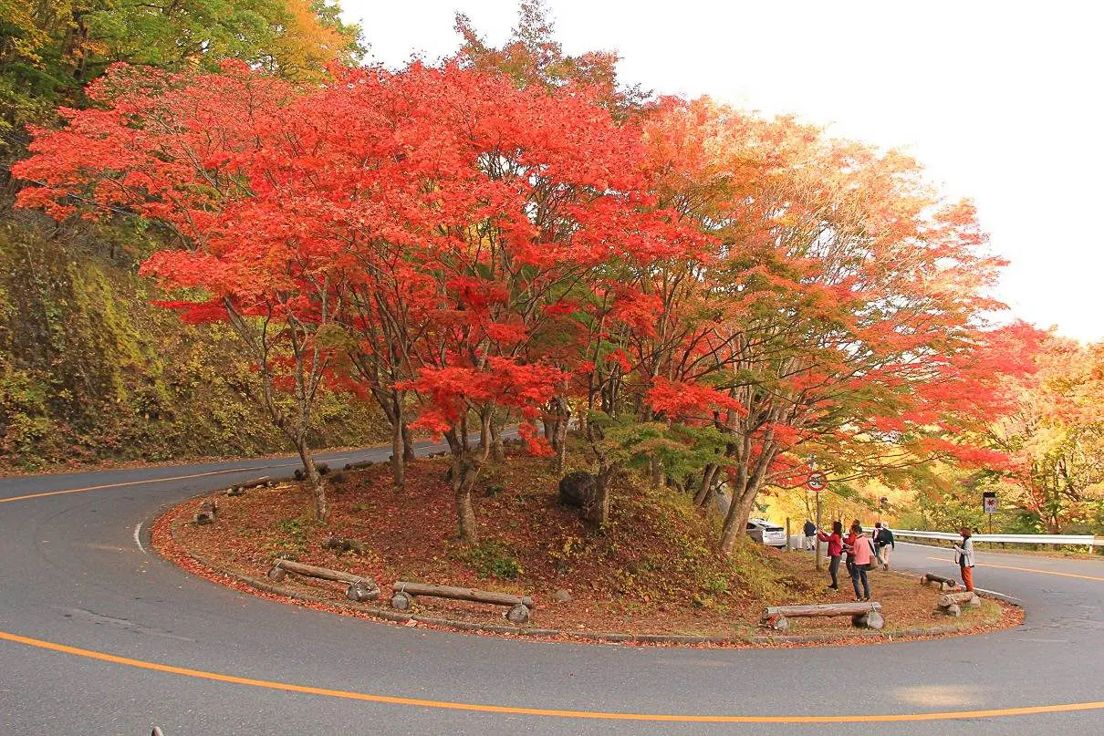 紅葉（日塩もみじラインの大曲）
