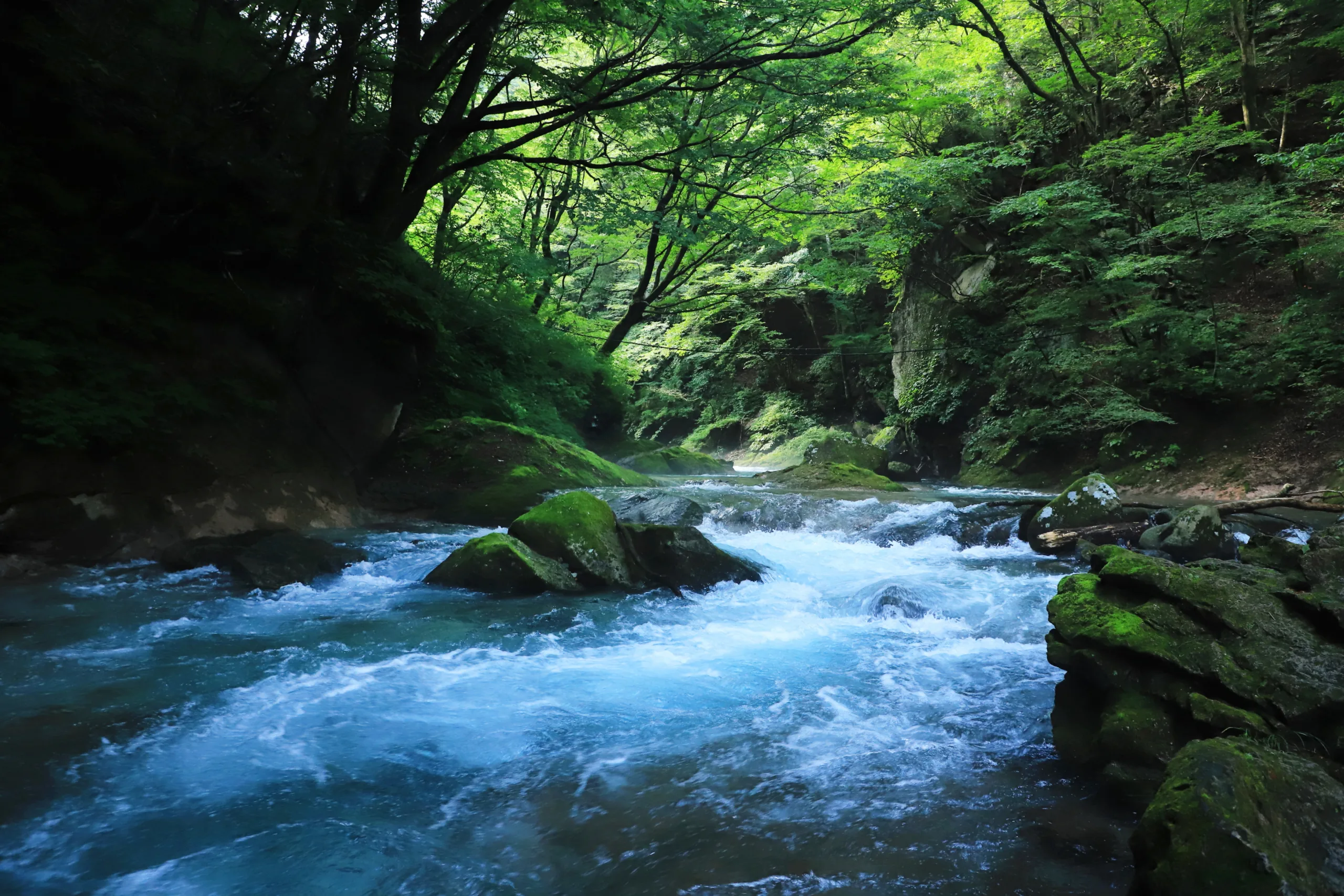 木 の 俣 渓谷
