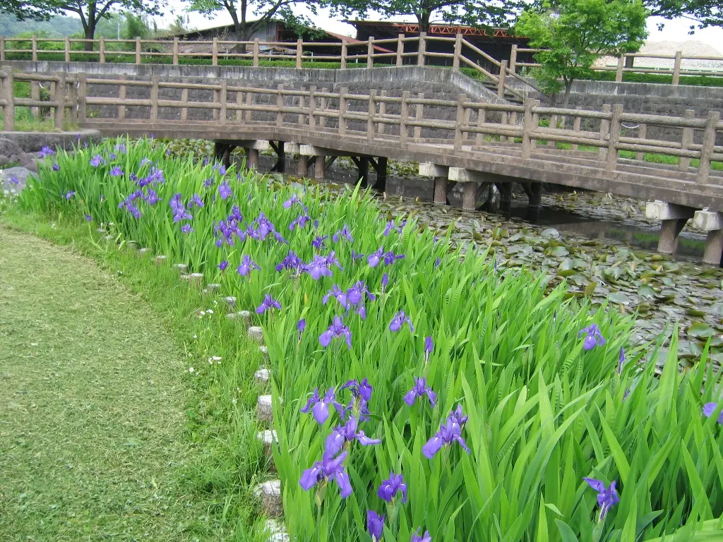 那珂川 河川 公園