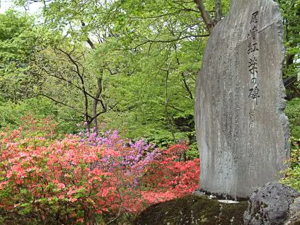 โทอิชิเอนจิ