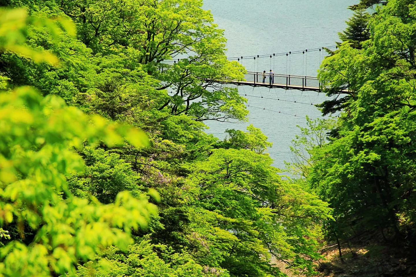 สะพานแขวนแห่งความทรงจำ