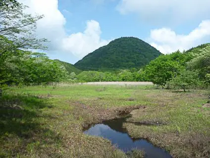 ชิน-ยู ฟูจิ