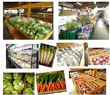 家乡西奈须直销协会“宗水之里直销中心”