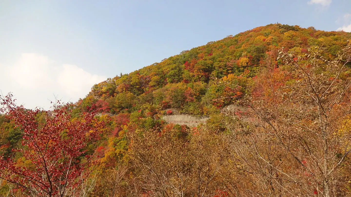 ใบไม้ร่วง (ชิโอน่า สกายไลน์)