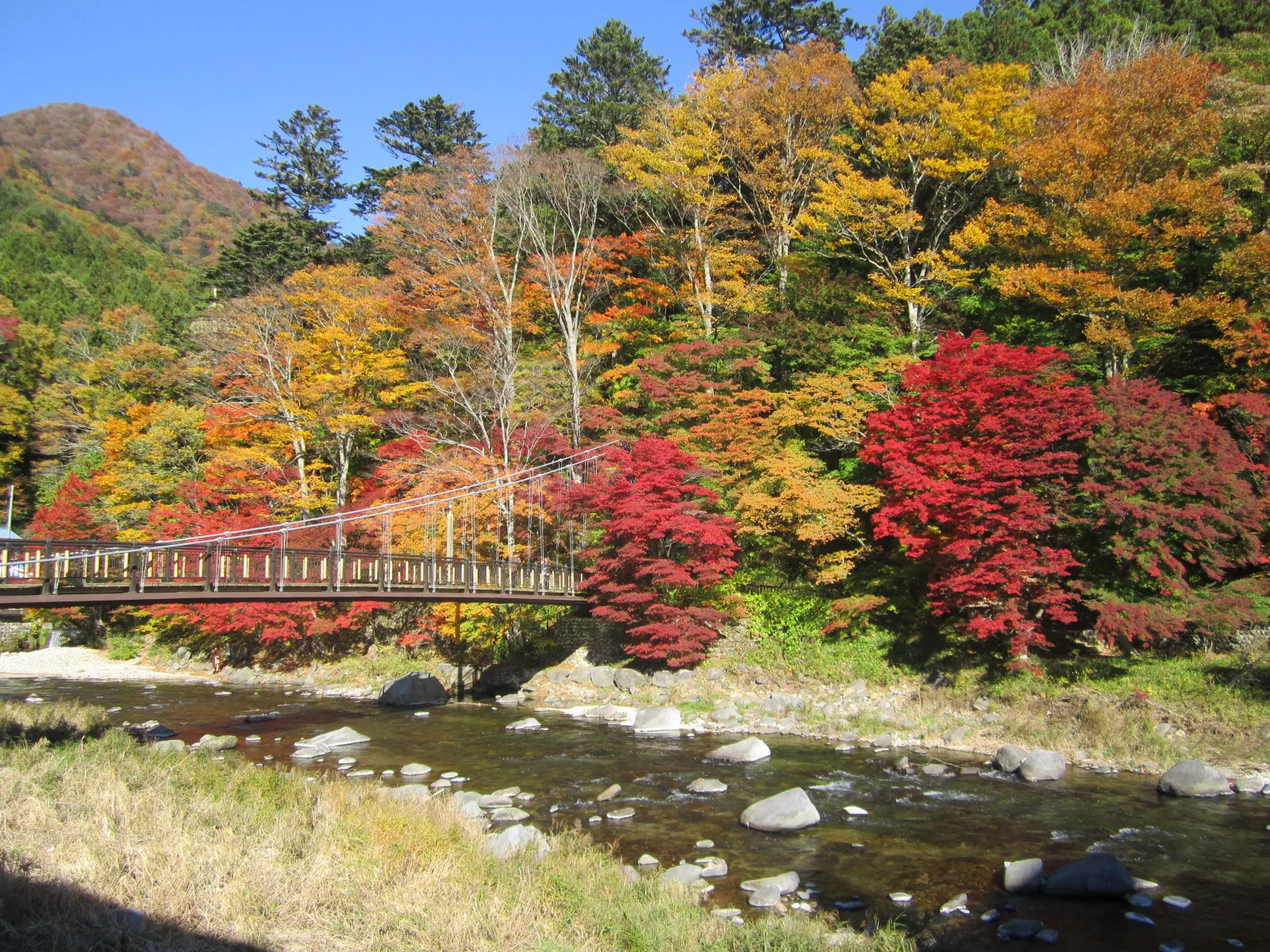 紅の吊橋