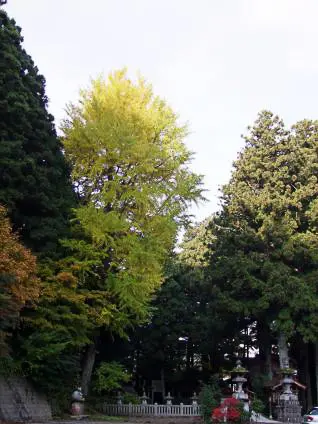 ศาลเจ้าชิโอบาระฮาจิมัน