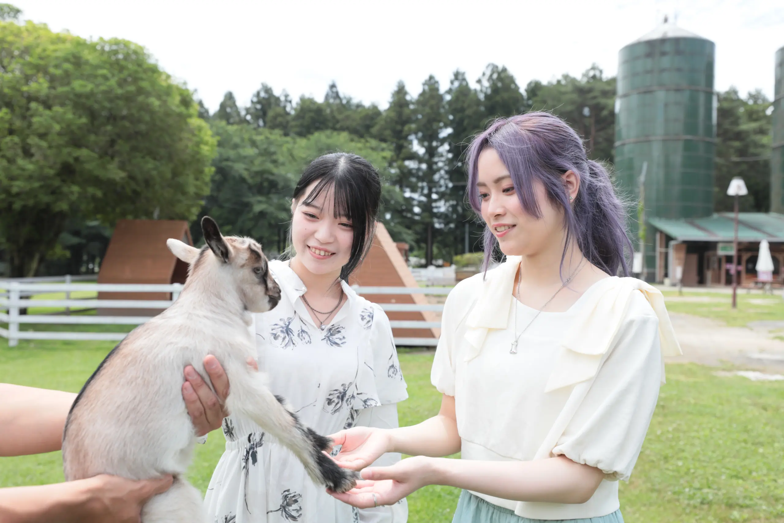 自然と温泉を満喫！千本松牧場から塩原温泉郷へ 〜癒やしとグルメの1日ドライブ〜