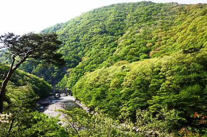 เขื่อนโฮกิกาวะ