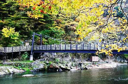 สะพานแขวนฟุกุโตะ ฟูโดะ