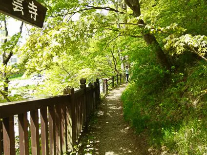 คามิอิซึยะอินน์