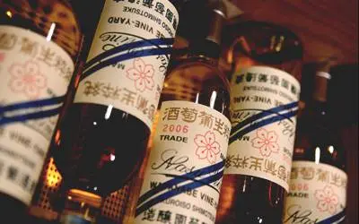 NASU 葡萄酒 渡边葡萄园啤酒厂