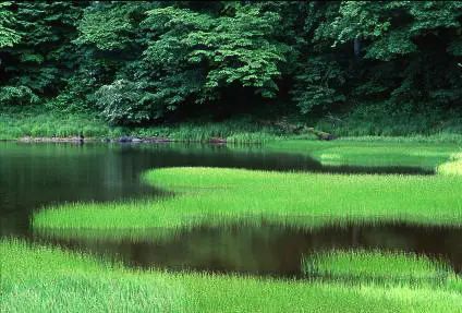 สวนสาธารณะโอนุมะ