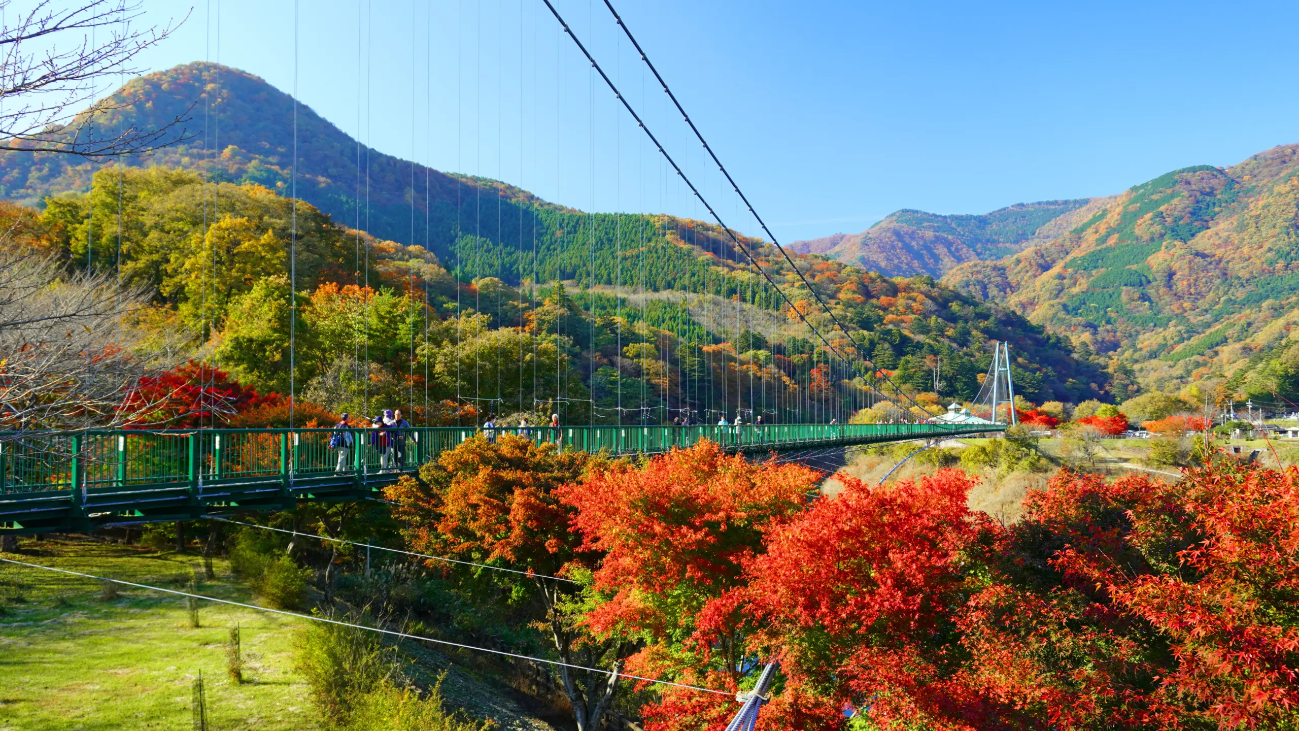 もみじ谷大吊橋_紅葉２