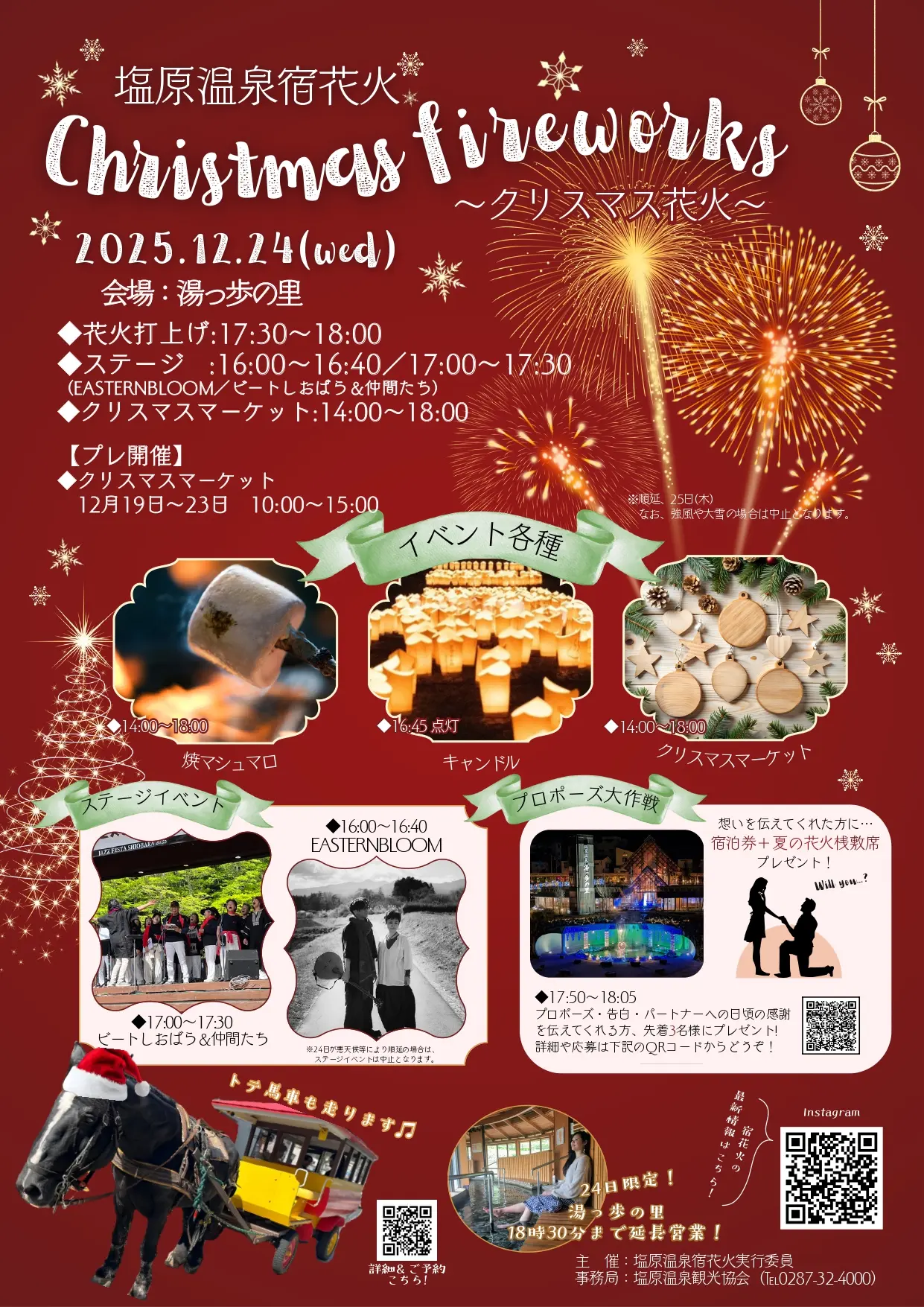 塩原温泉宿花火　～クリスマス花火～