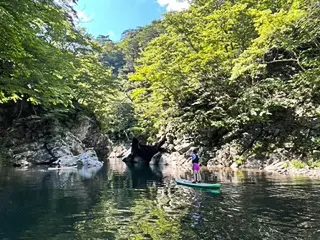 มิซึโดริ