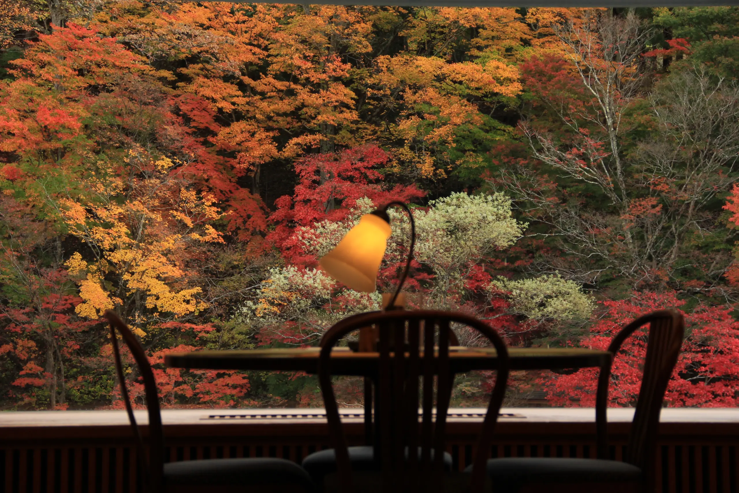 レストラン洋燈_紅葉