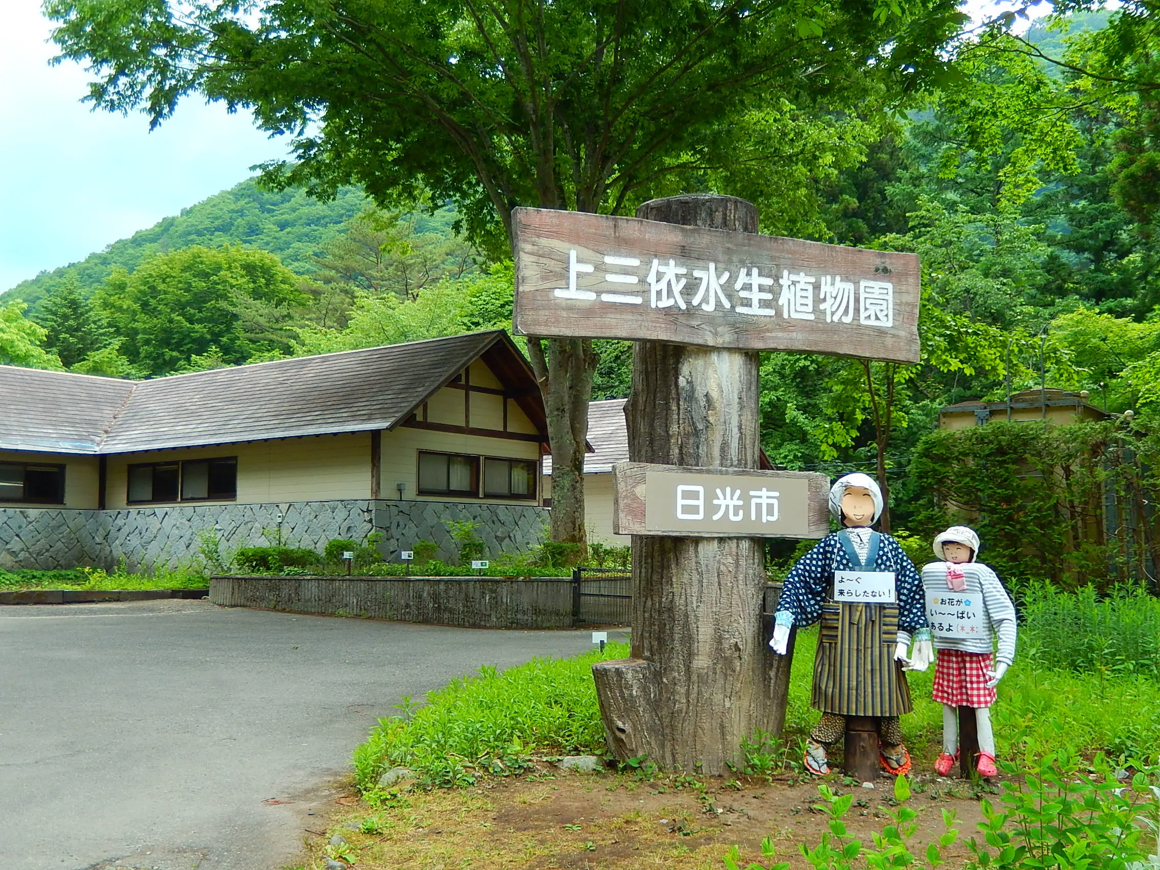 สวนพฤกษศาสตร์ทางน้ำคามิมิโยริ