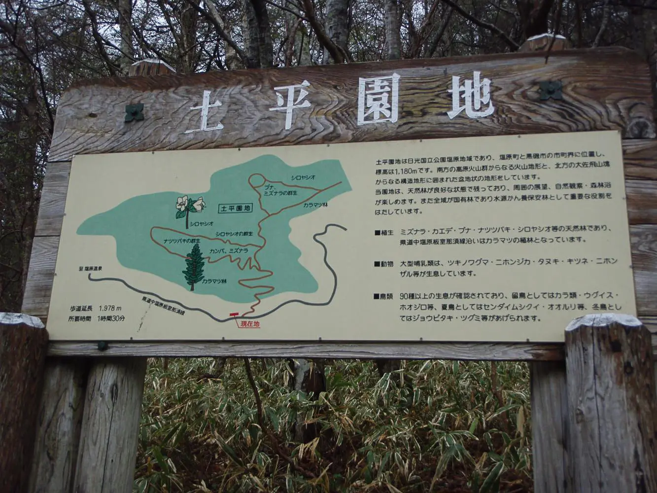 สึจิฮิระเอนจิ