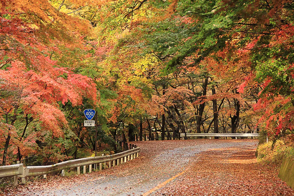 ถนนหุบเขาโรมันไทโช