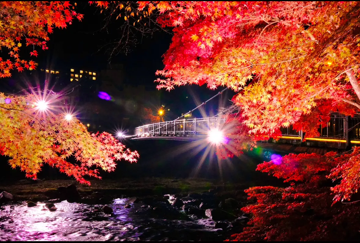 塩原温泉ライトアップ_紅の吊橋2