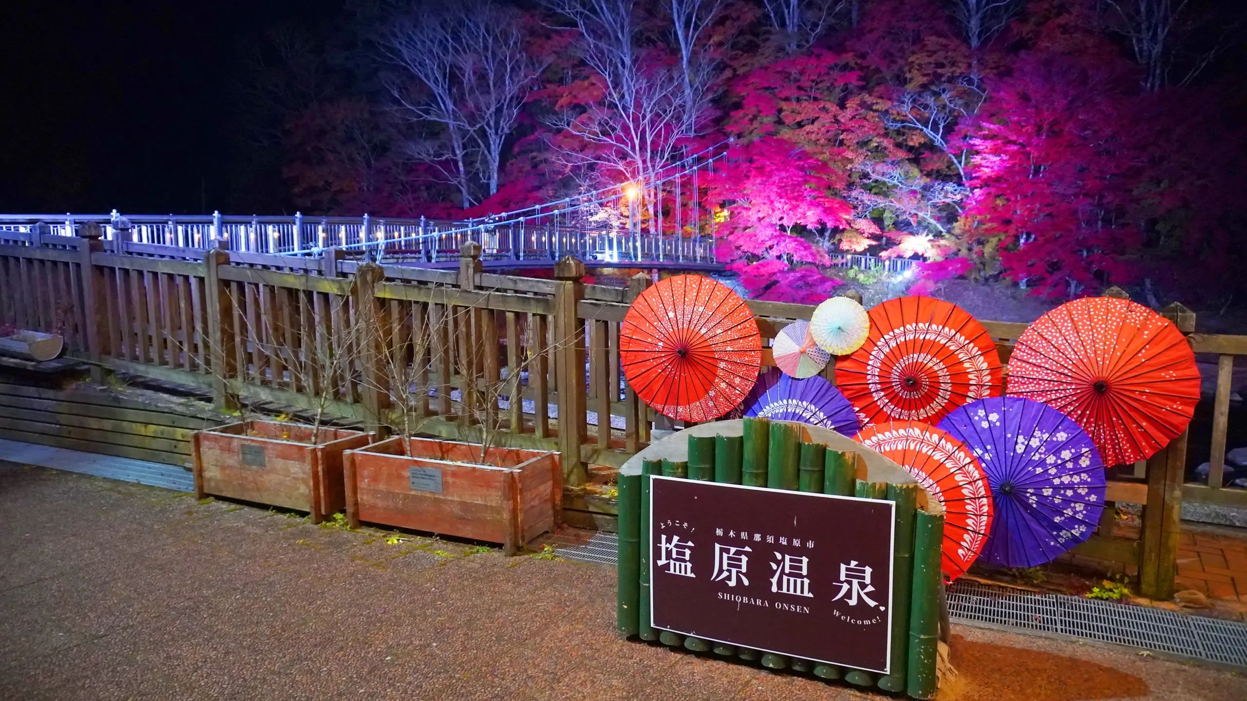 塩原温泉ライトアップ_紅の吊橋３