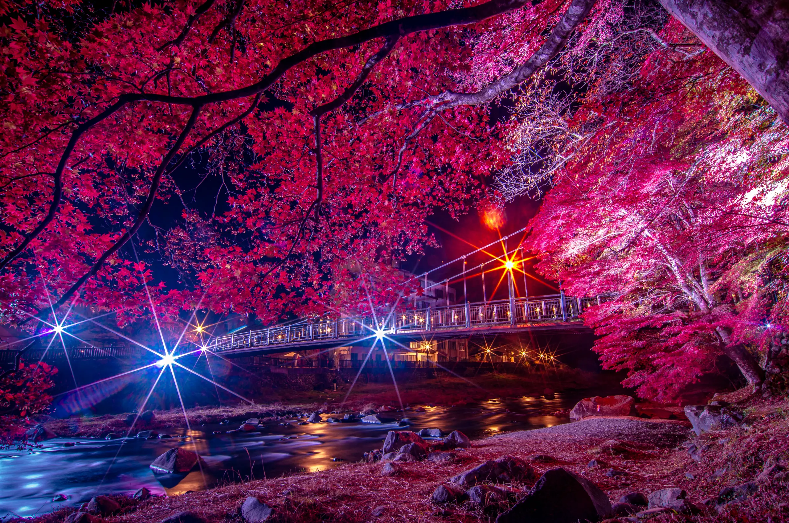 塩原温泉ライトアップ_紅の吊橋５