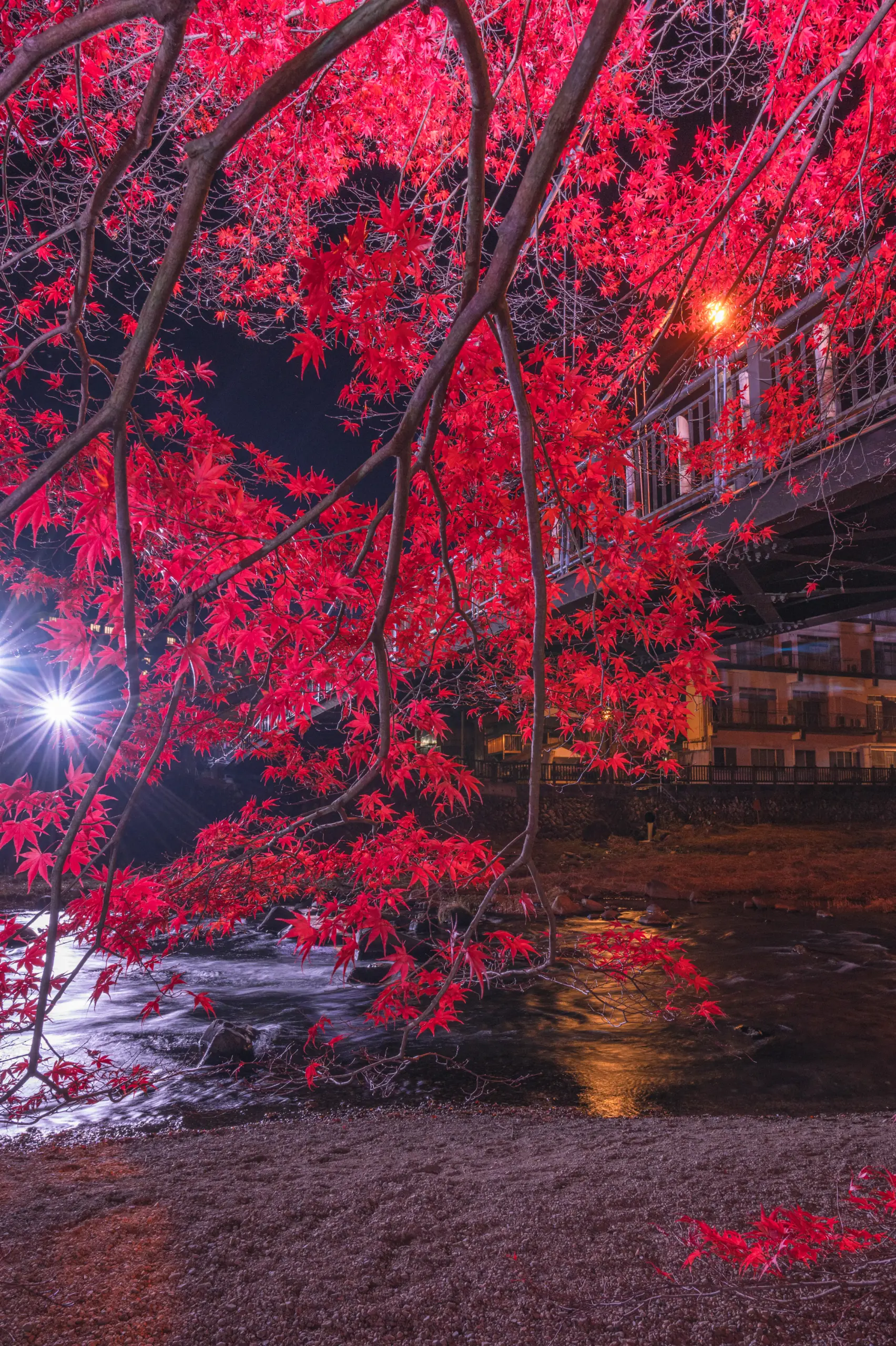 塩原温泉ライトアップ_紅の吊橋６