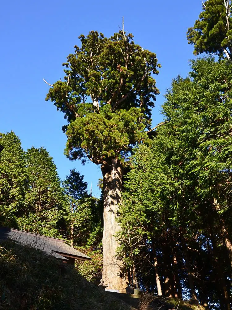 ศาลเจ้าทาเคยามะโฮกิเนะโอคุโนะอิน (วิหารหลักและศาลเจ้าอื่นอีก 2 แห่ง)