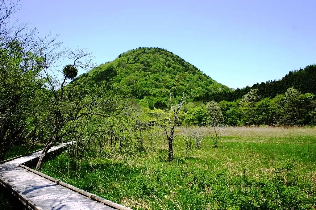 新緑の大沼公園