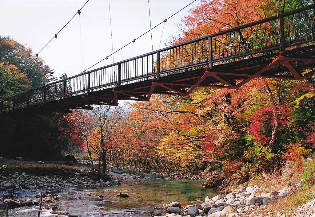 木股庭园和巨石吊桥