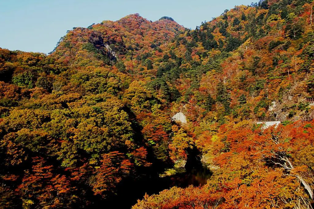 ใบไม้ร่วง (วาคากาฟุจิ)