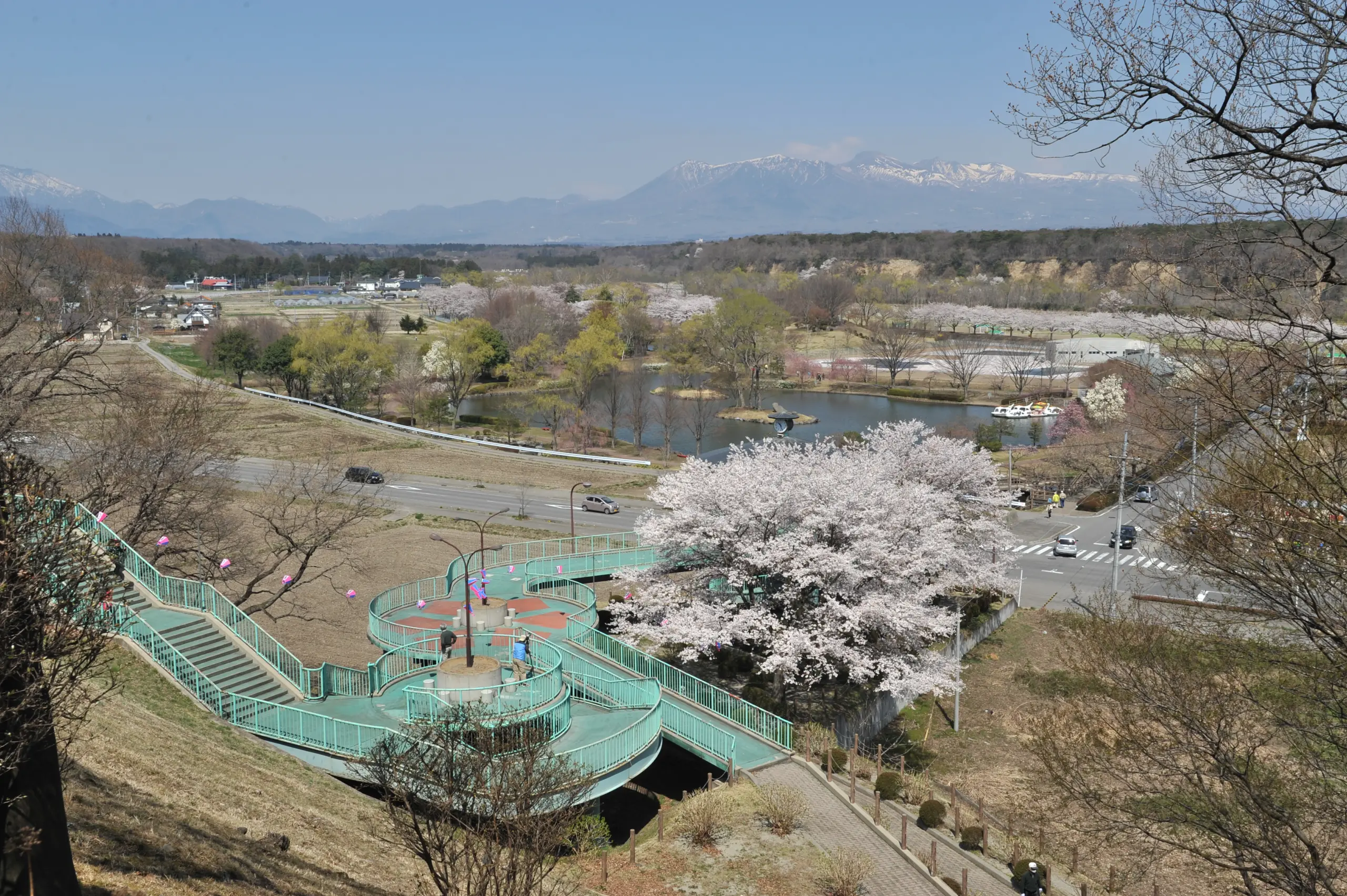 那珂川河畔公園_春