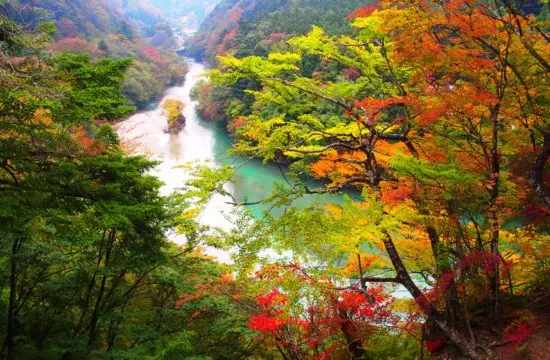 ONSEN & Gastronomy Walking in Nasushiobara 2020 – Itamuro