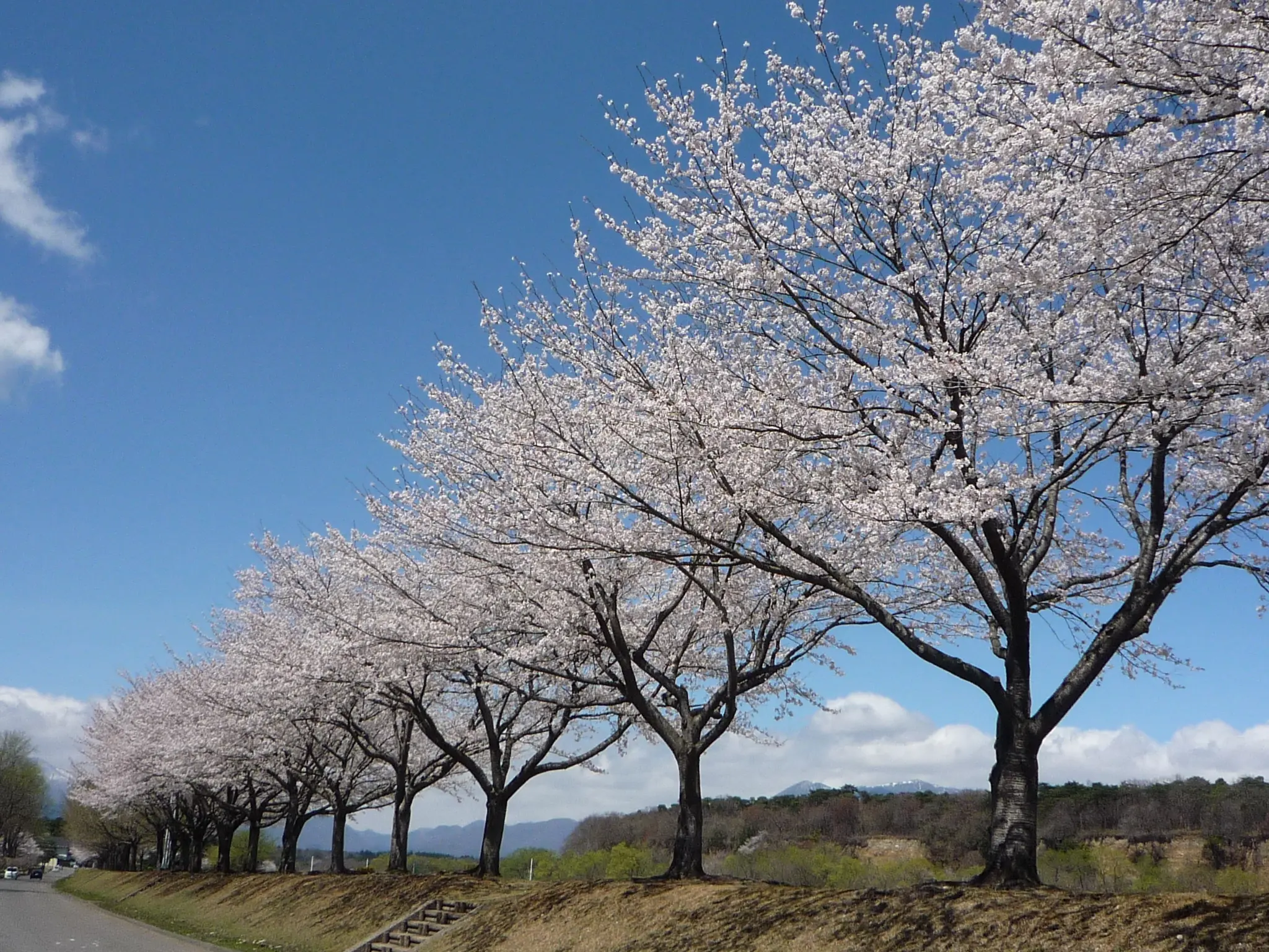 那珂川河畔公園