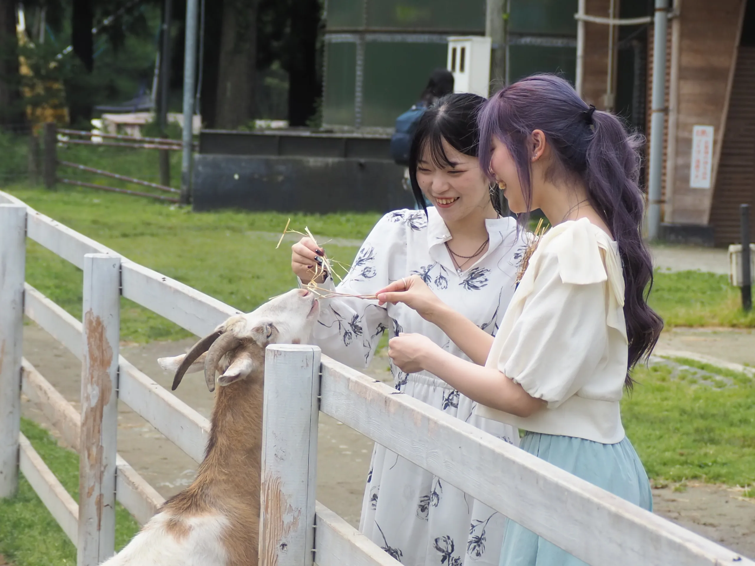 那須千本松牧場