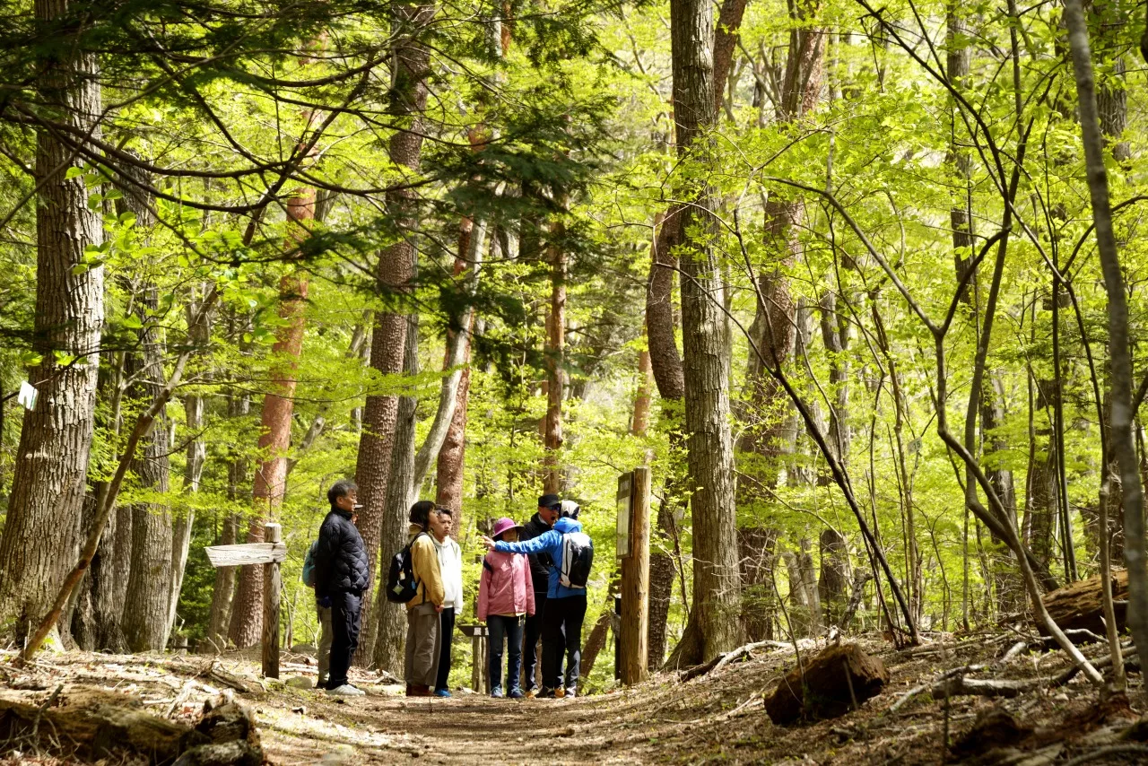 塩原温泉ビジターセンター散策プログラム「遊歩道の森自然散策」