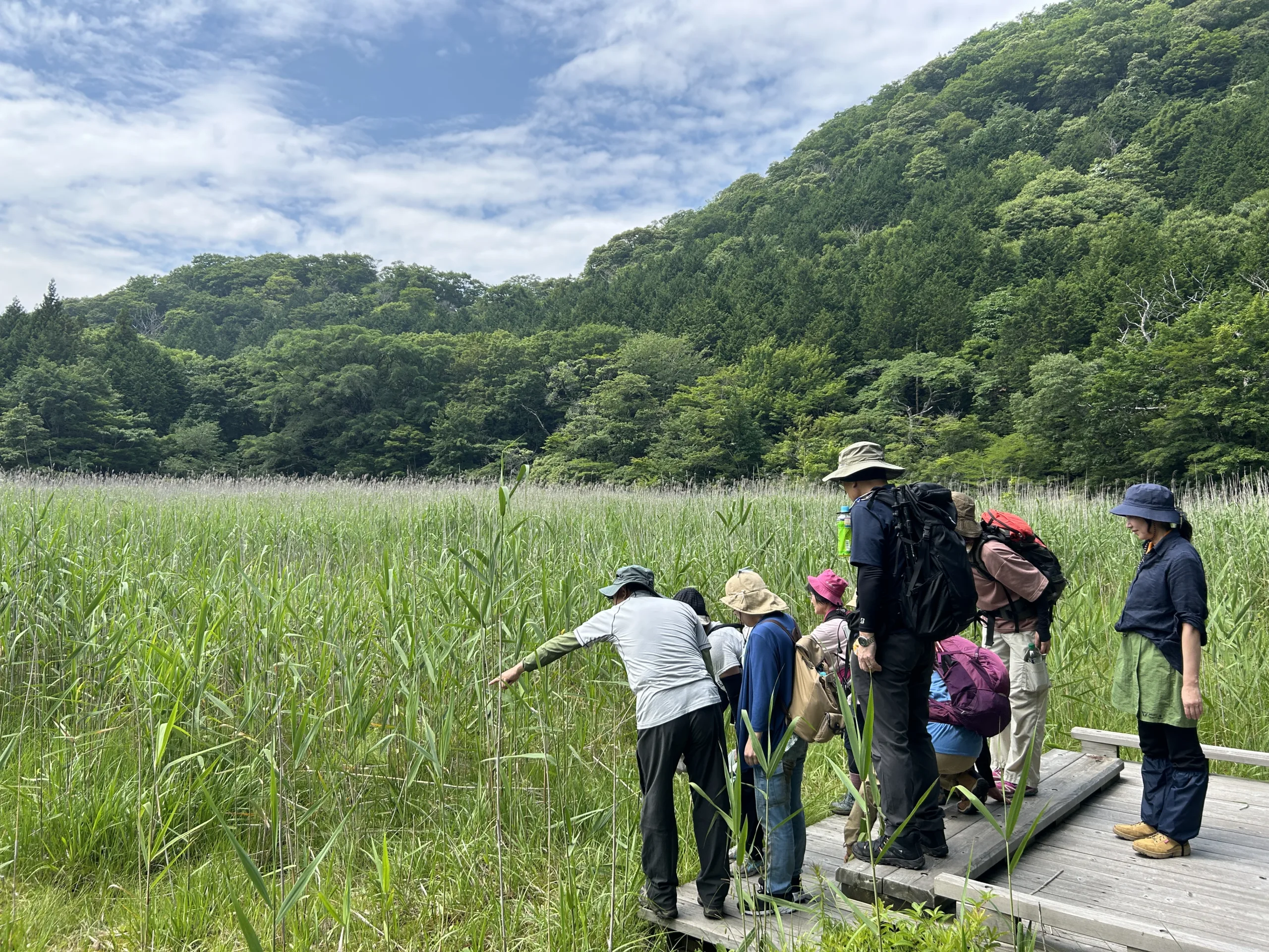 ネイチャーウォーク大沼公園の森　ー夏ー