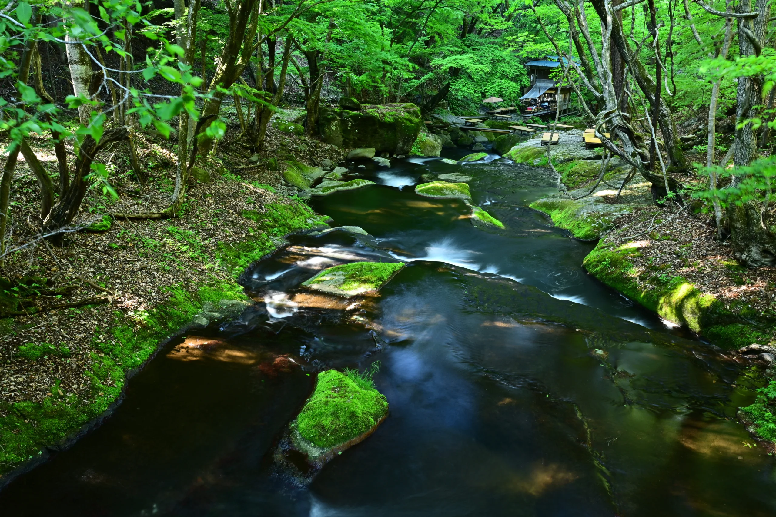 この夏は那須塩原で涼感！ おすすめスポットの紹介‼