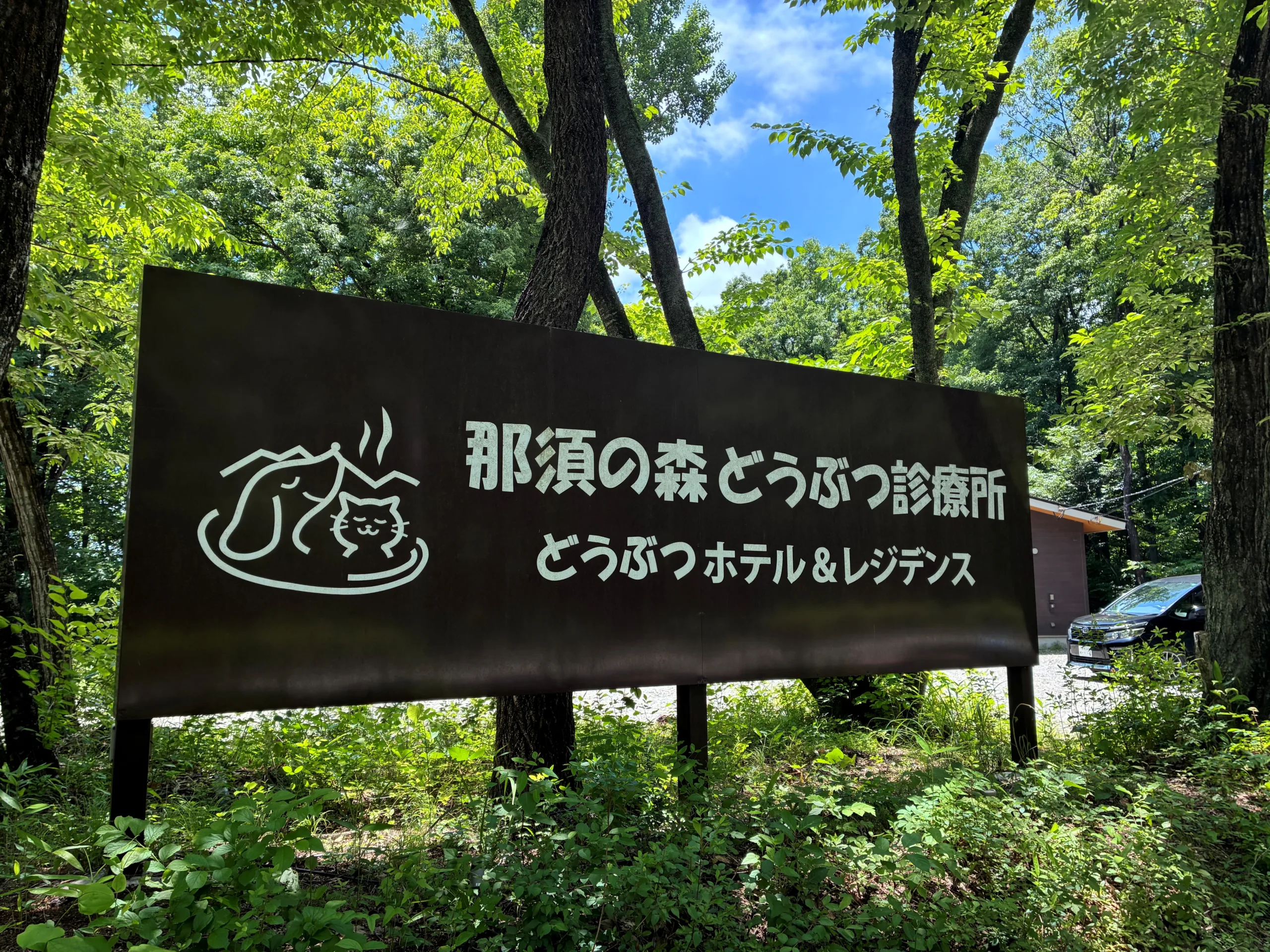 動物病院