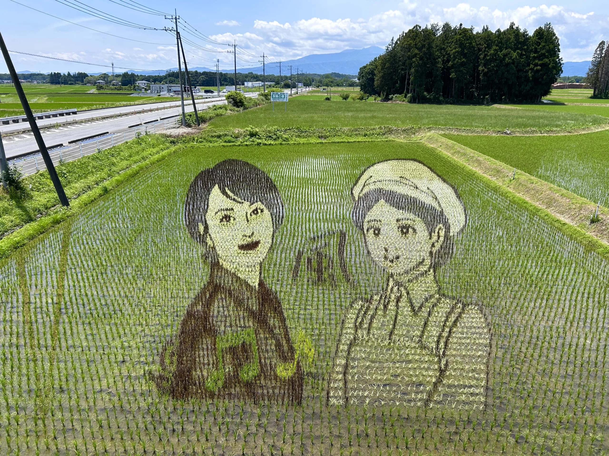 那須塩原市の田んぼアート2026最新情報（第1・2会場）
