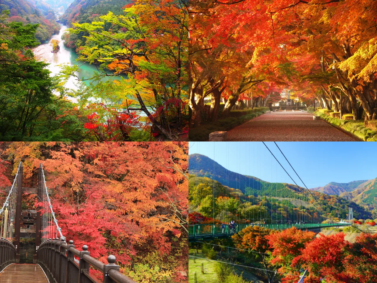 那須塩原の紅葉スポットと温泉宿 完全ガイド