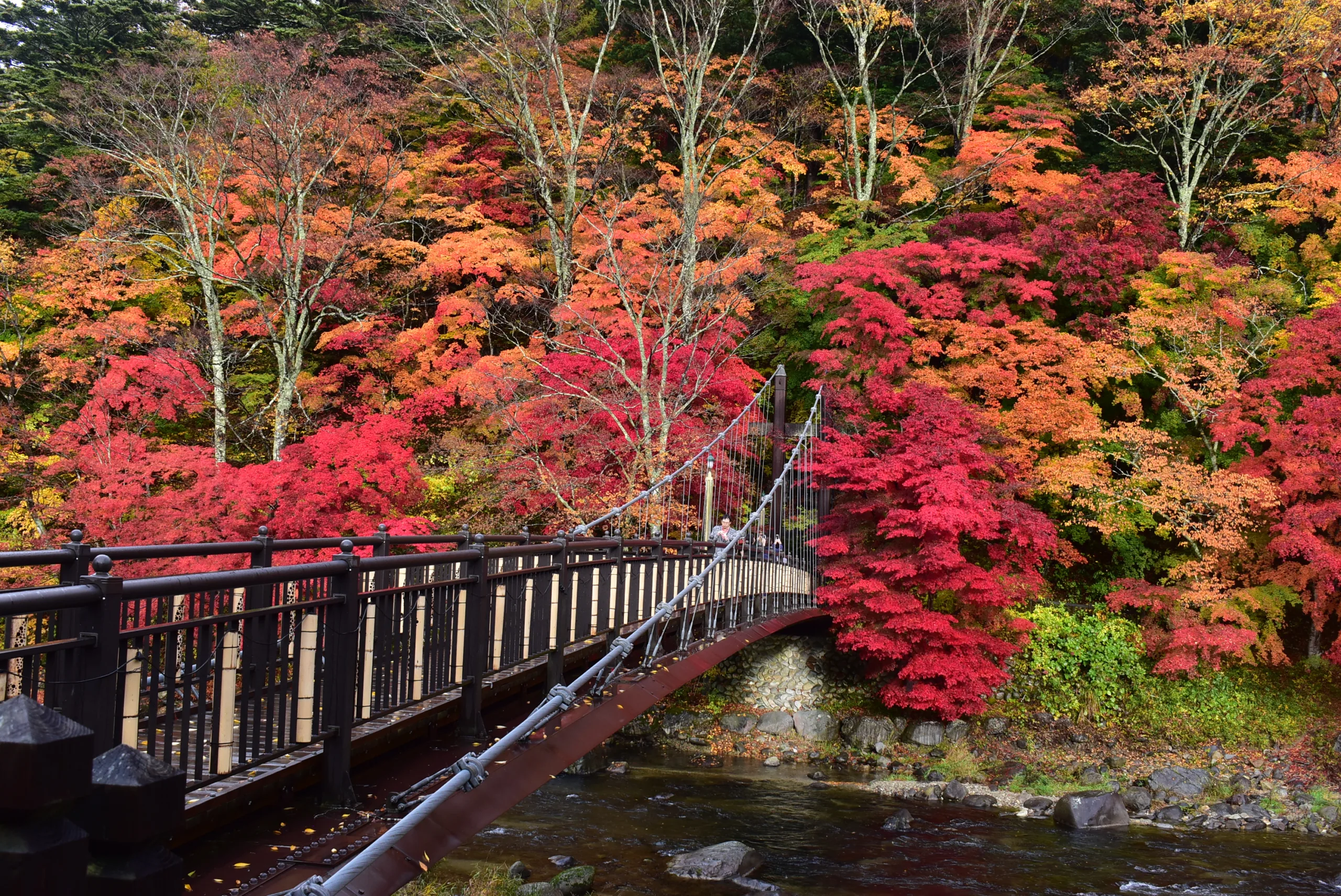 【2026年最新】那須塩原市の紅葉情報をお届けします