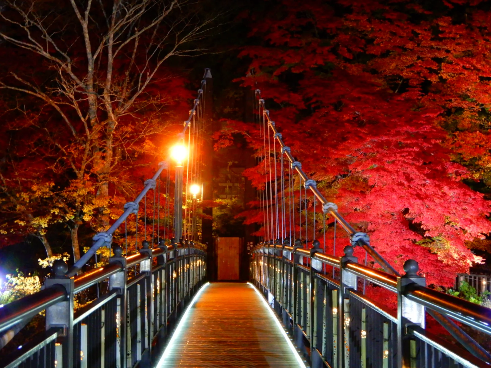 塩原温泉　紅葉ライトアップ